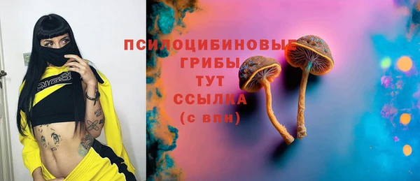 тгк Абинск